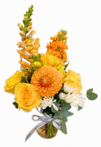 BLOOMS & SIPS!