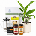 Coffee and plant hamper with peace lily, French press, Tasmanian coffee, preserves and shortbread – Coastal Blooms Penguin