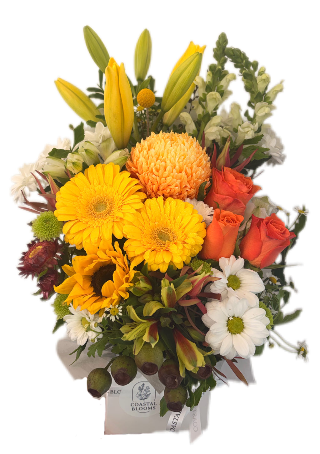 BRIGHT ARRANGEMENT