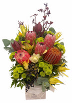 NATIVE ARRANGEMENT