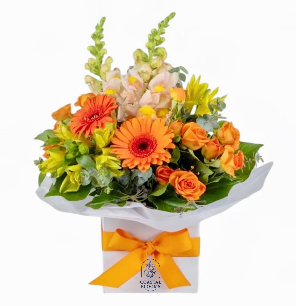 BRIGHT ARRANGEMENT