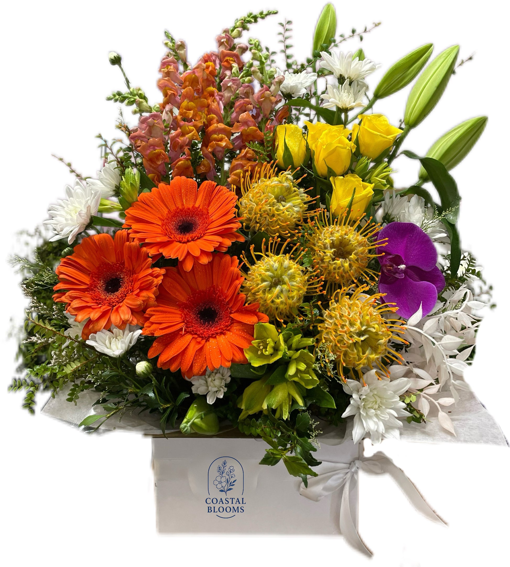BRIGHT ARRANGEMENT