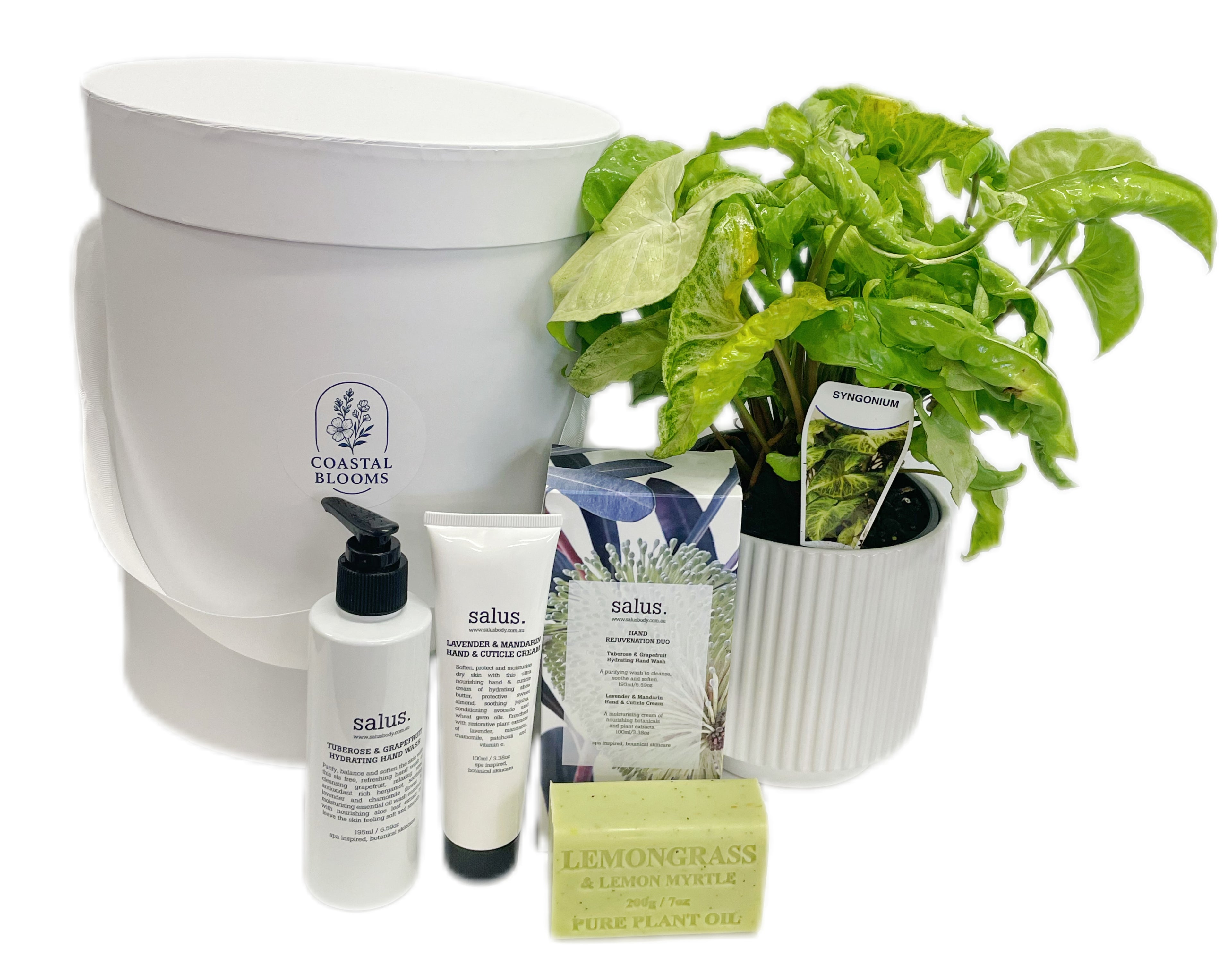 PLANT & PAMPER HAMPER