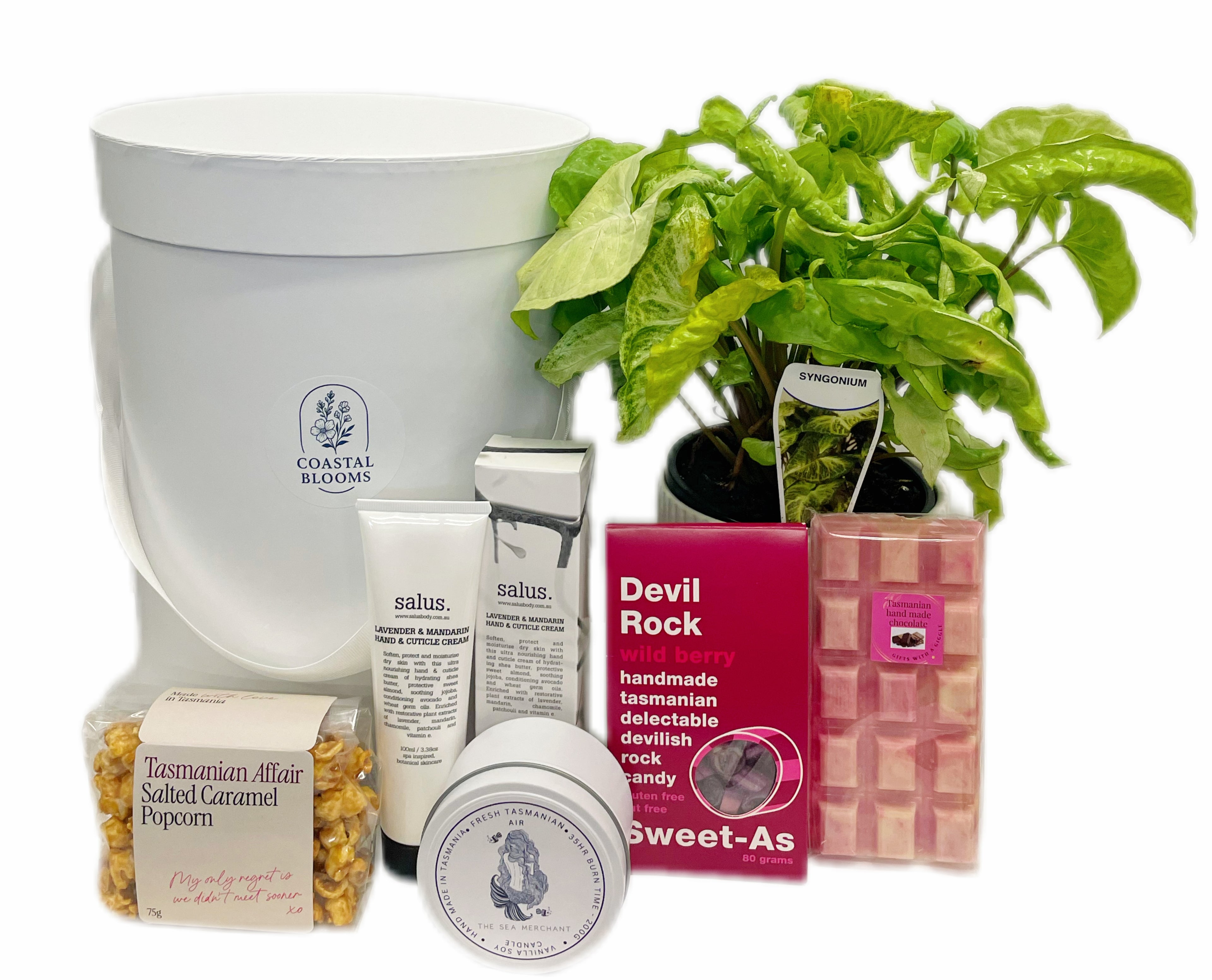 TREATS & PLANT HAMPER