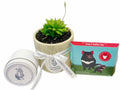 THE PERFECT TRIO from Coastal Blooms Penguin