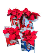 CHRISTMAS POINSETTIA PLANT