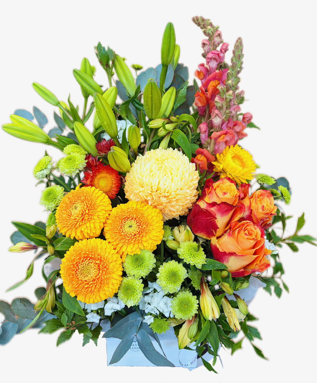 BRIGHT ARRANGEMENT